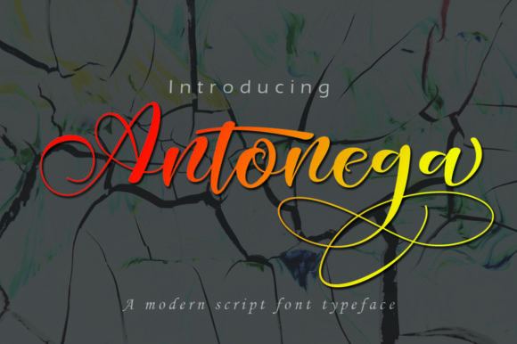 Antonega: The Elegant Typeface for Scroll-Stopping Campaigns