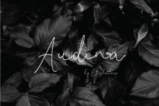 Audina: The Script Typeface That Elevates Small Business Branding