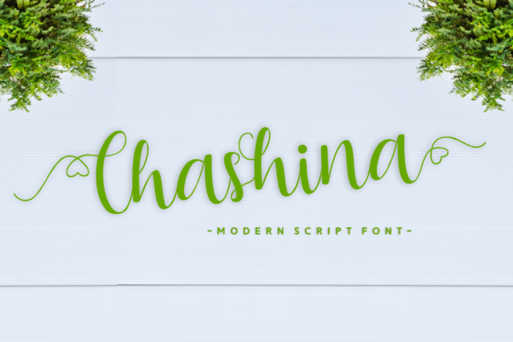 Chashina: The Handwritten Typeface That Transformed My Brand Identity