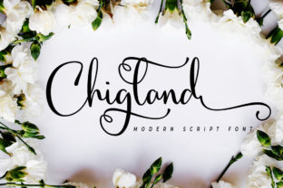 Chigland: A Bold Script Amp That Brings Sweet Personality to Brand Identity