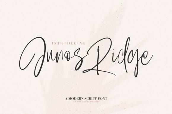 Junos Ridge: A Designer's Honest Review for Real-World Branding
