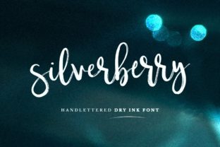 Silverberry: A Designer's Honest Review for Real Projects